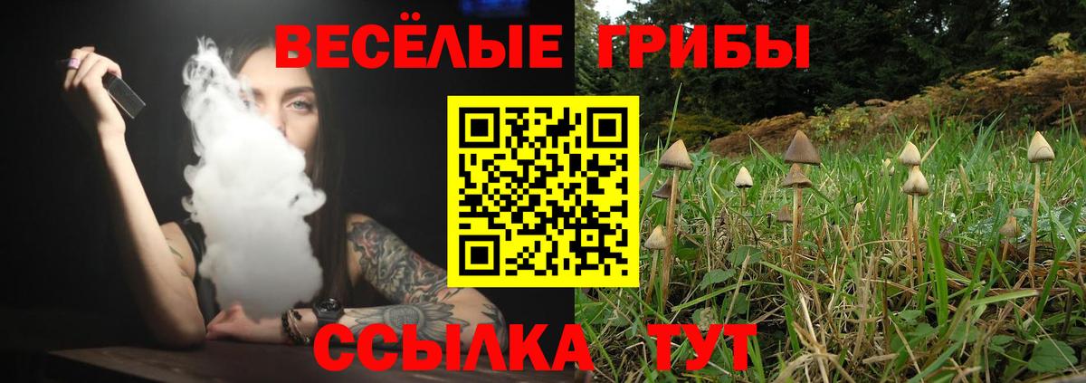 Уссурийск  Галлюциногенные грибы GOLDEN TEACHER  Вход с VPN  Псилоцибиновые грибы Magic Shrooms 